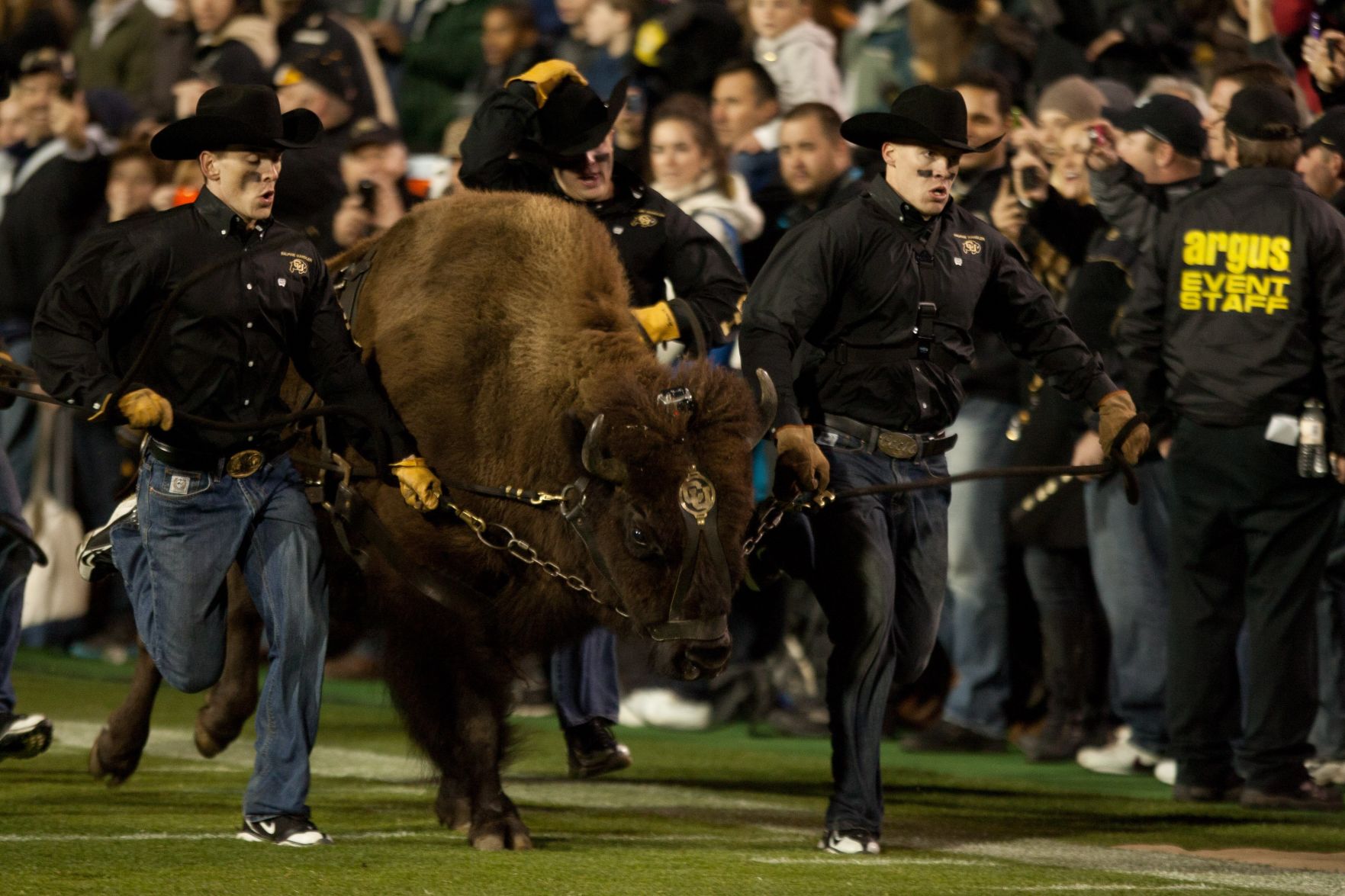 University of Colorado football
